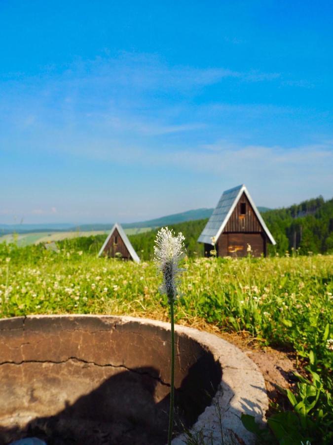 Panorama Janovicky 3*